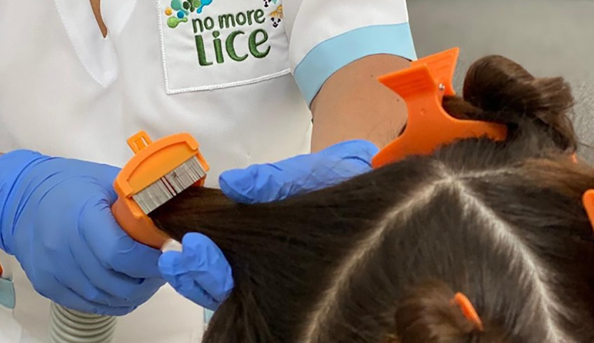 Lice Myths Vs. Facts: What You Need To Know