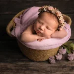 Professional Tools Used By Family Photographers For Perfect Results